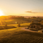 Can Your Farm Estate Make You Famous? (Spoiler: Yes)