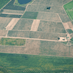 How To Confirm Land In 3 Simple Steps