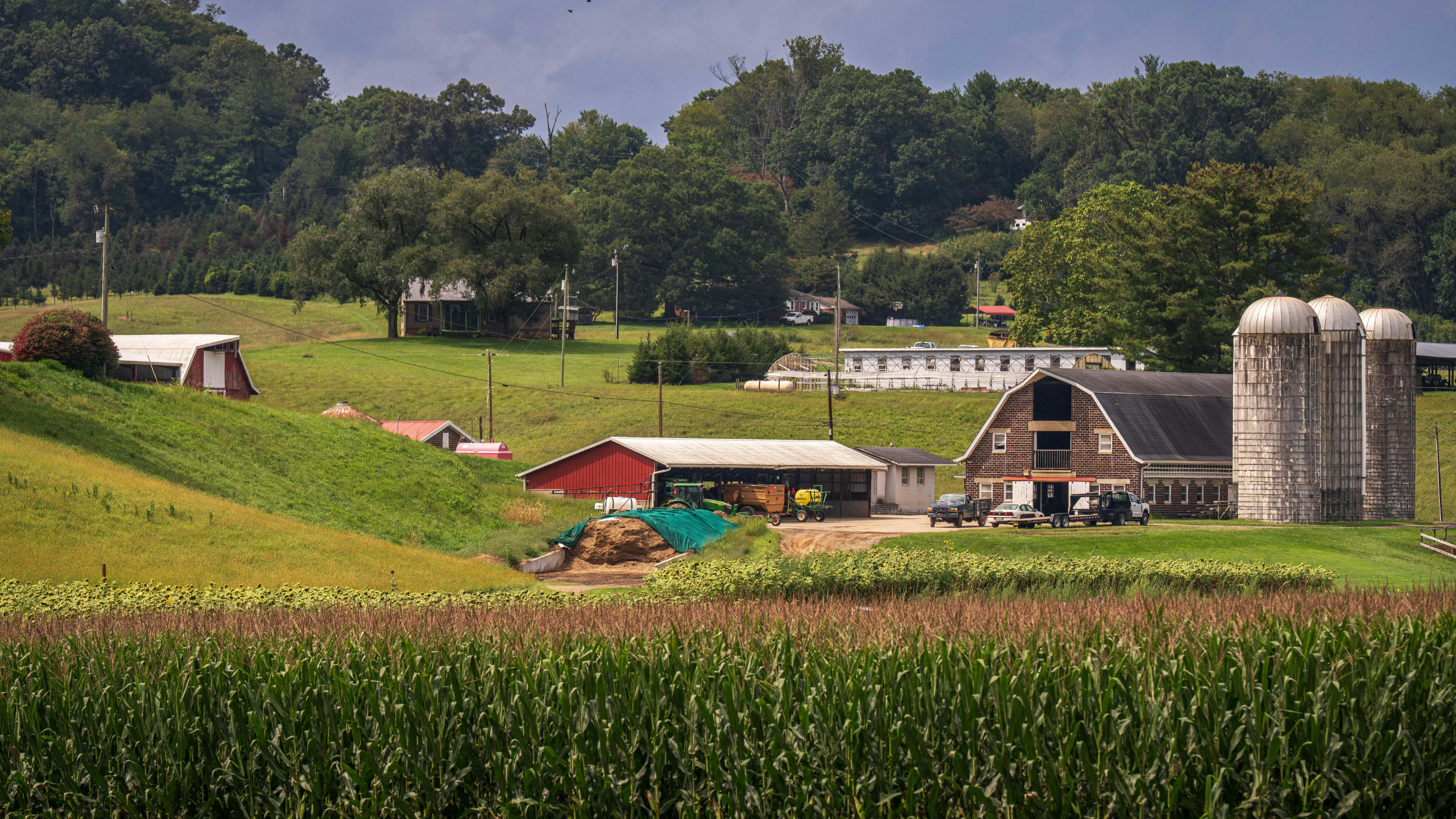 What to Expect from a Farm Property Inspection