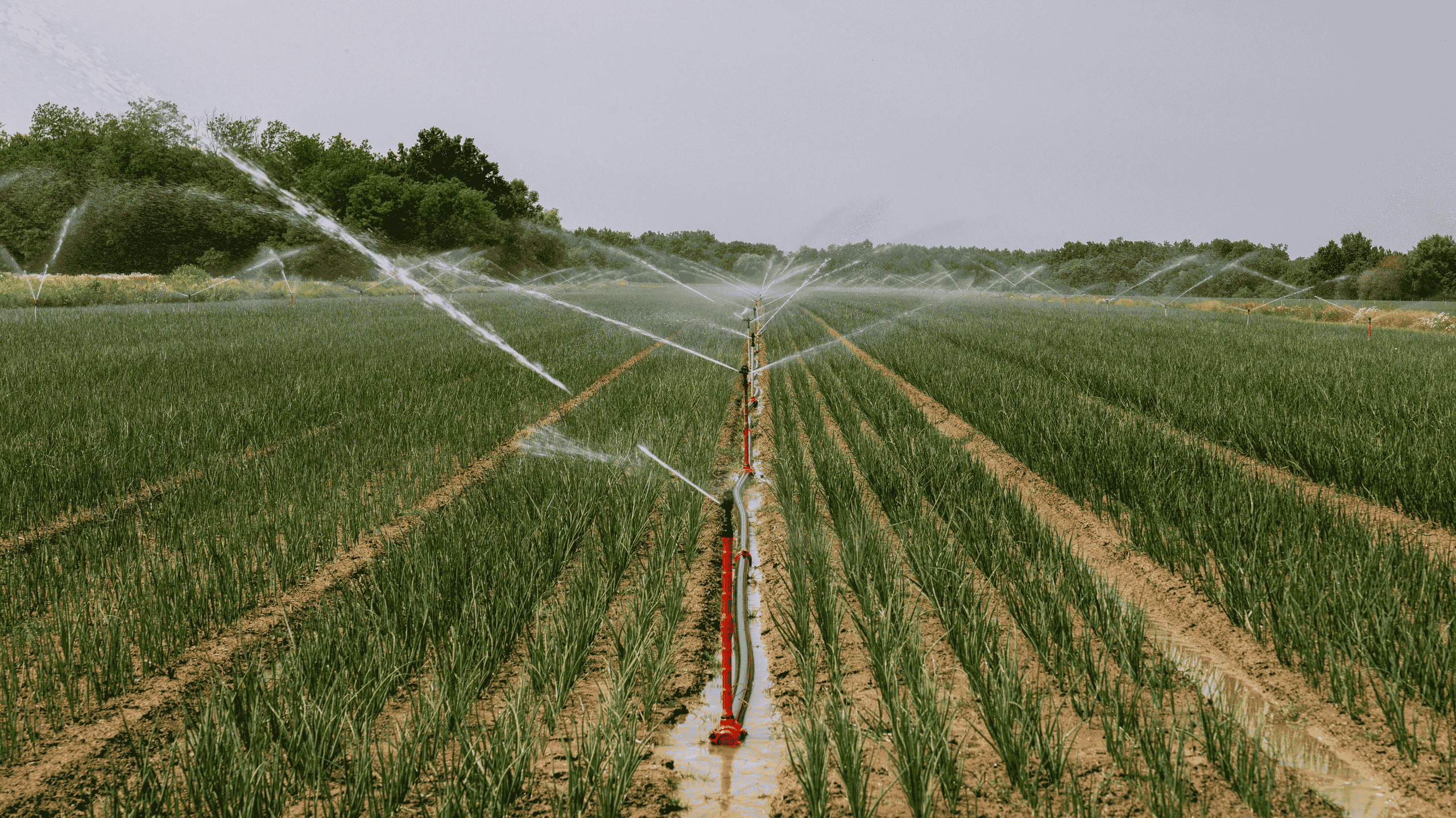 Water Rights and Irrigation Systems in Nigeria