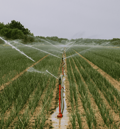 irrigation 2
